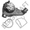 BERGKRAFT BK3147711WP Water Pump